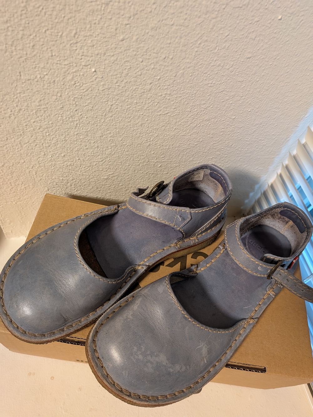 Duckfeet 40 Periwinkle Mols Mary Jane Shoes